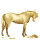 jezdecký kůň anglický plnokrevník ryzák
