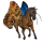 toulavý kůň morpho
