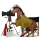 toulavý kůň režisér