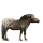 poník fjordský kůň brunblakk