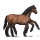 ryzí sleipnir