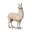 compagnon-lama_v1713961017.png