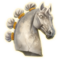 drdoly
