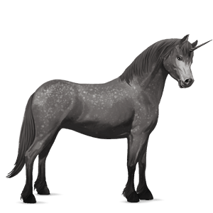 poníkorožec novofoundlandský pony smíšený bělouš
