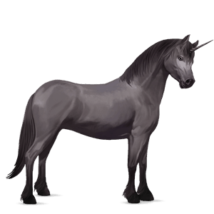 poníkorožec highland pony myšák