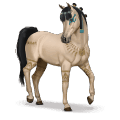 speciální kůň amira