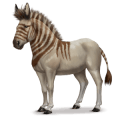 prehistorický kůň hydruntine