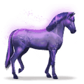 duhový kůň devoted indigo