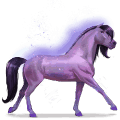 duhový kůň brave purple