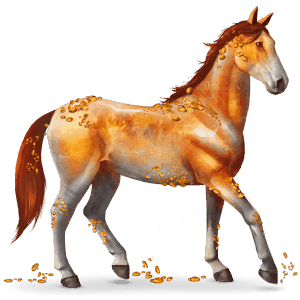 vzácný kůň amber