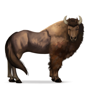 divoký kůň bizon