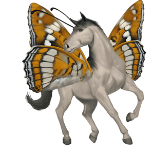 jezdecký kůň marwari světlý ryzák