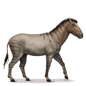 prehistorický kůň hippidion