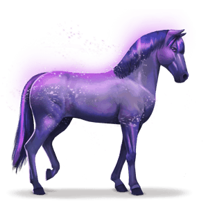 duhový kůň devoted indigo