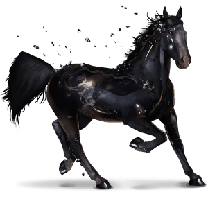 vzácný kůň onyx