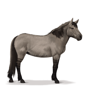 prehistorický kůň tarpan