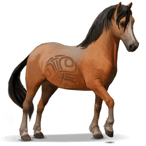 divoký kůň welsh mountain pony