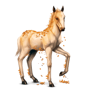 vzácný kůň topaz