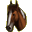 toulaví koně